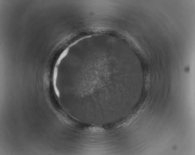 X0000116780644201001141512