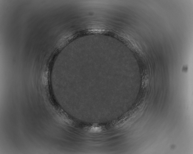 X0000116780647201001141512