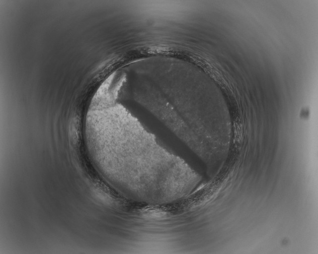 X0000116780648201001141512