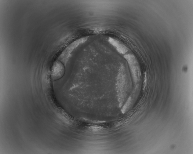 X0000116780650201001141512