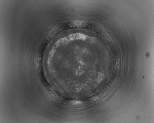 X0000116780651201001141512