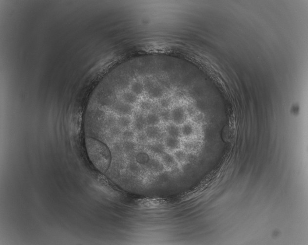 X0000116780652201001141512