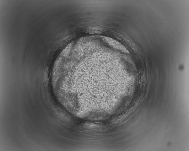 X0000116780655201001141512