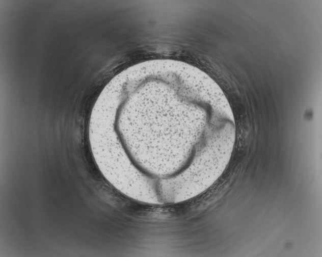 X0000116780656201001141512