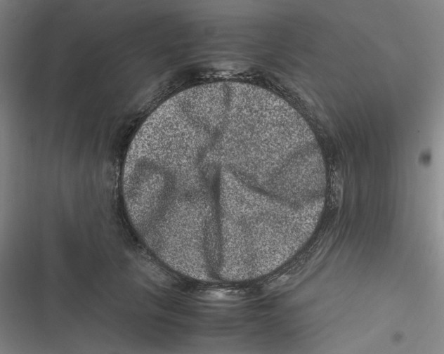 X0000116780657201001141513