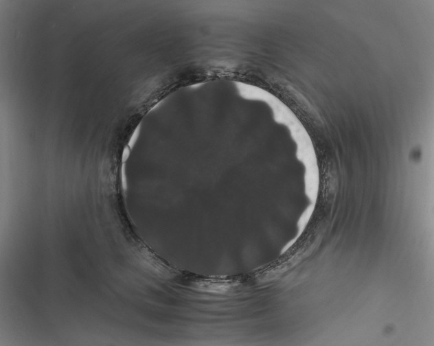 X0000116780661201001141513