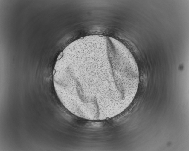 X0000116780665201001141513