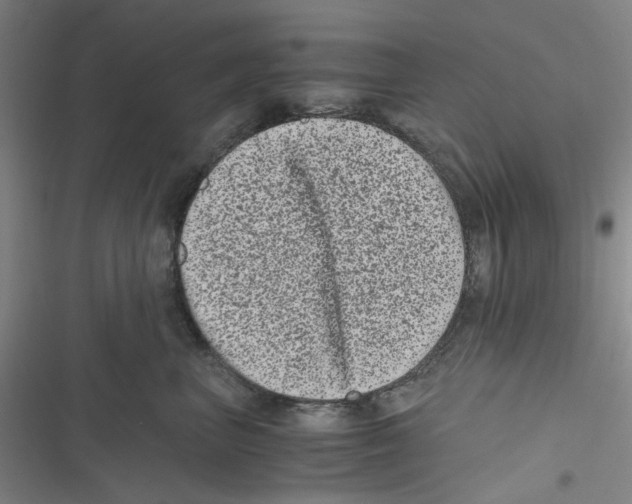 X0000116780667201001141513