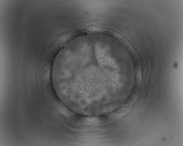 X0000116780668201001141513