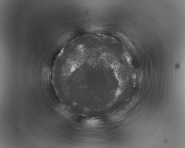 X0000116780669201001141513