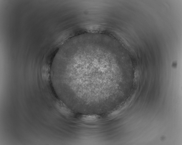 X0000116780671201001141513