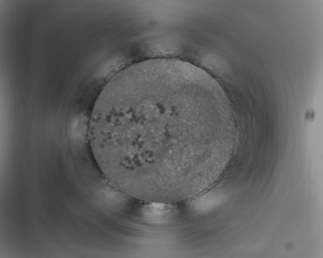 X0000116780672201001141513