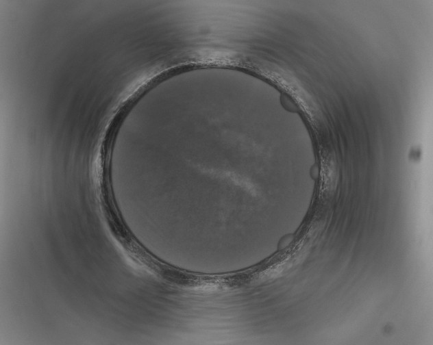 X0000116780674201001141512