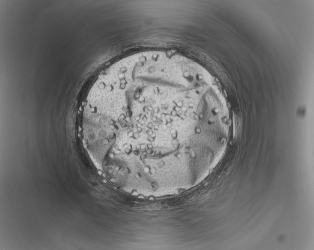 X0000116780675201001141512