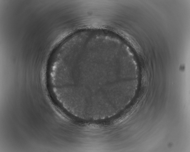 X0000116780677201001141512