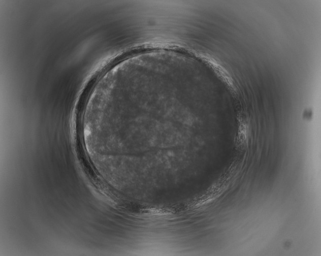 X0000116780678201001141512