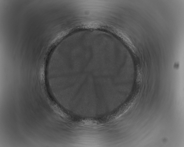 X0000116780681201001141512