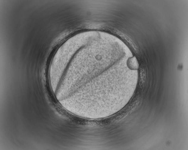 X0000116780682201001141512