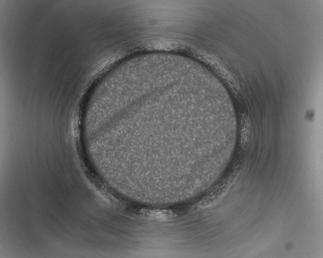 X0000116780683201001141512