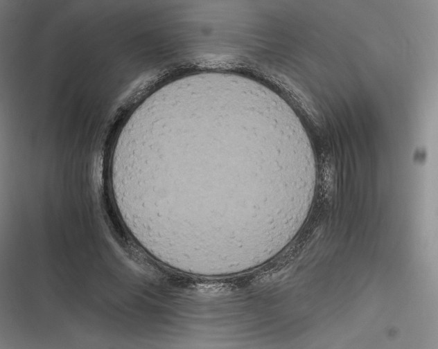 X0000116780686201001141512