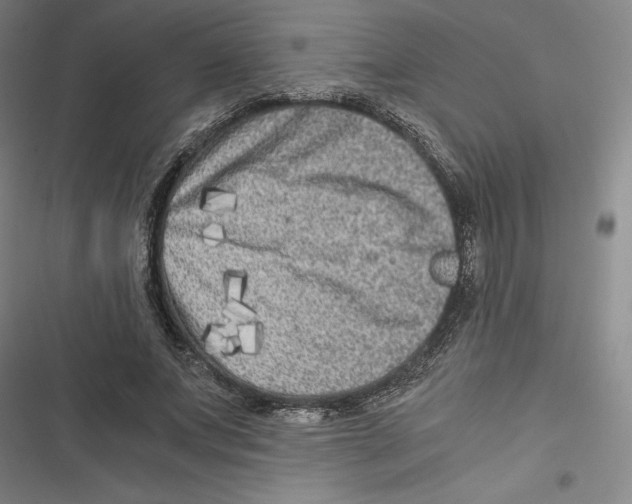 X0000116780687201001141512