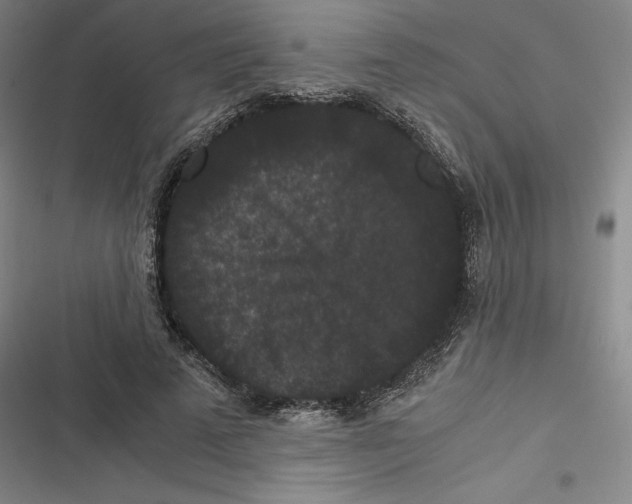 X0000116780689201001141512