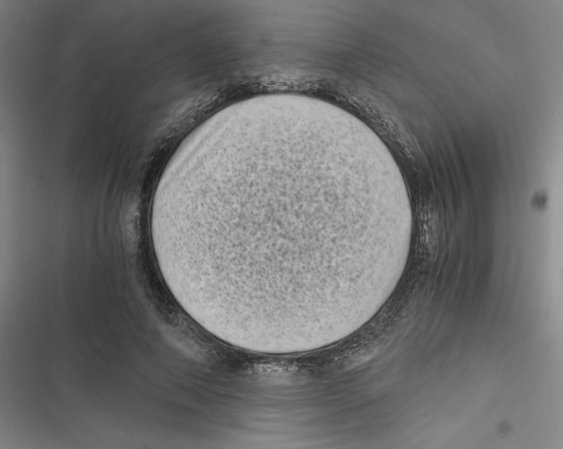 X0000116780690201001141512