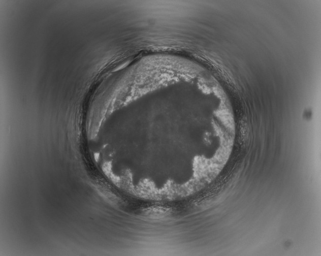 X0000116780691201001141512