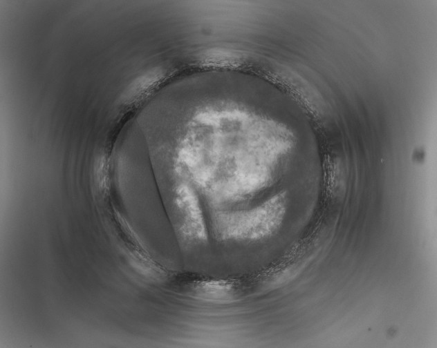 X0000116780692201001141512