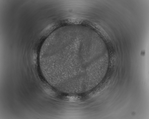 X0000116780693201001141512