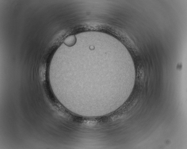 X0000116780694201001141512