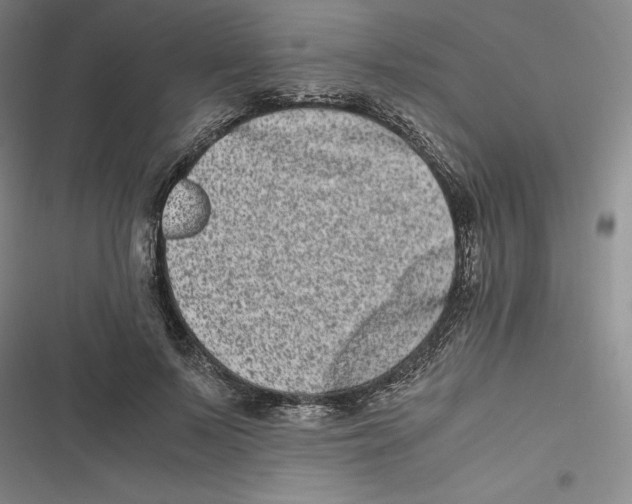 X0000116780695201001141512