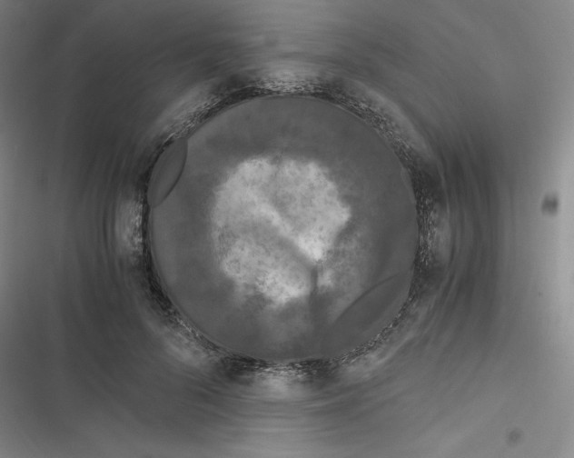 X0000116780696201001141512