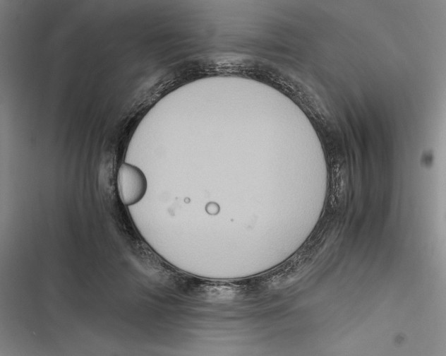 X0000116780698201001141512