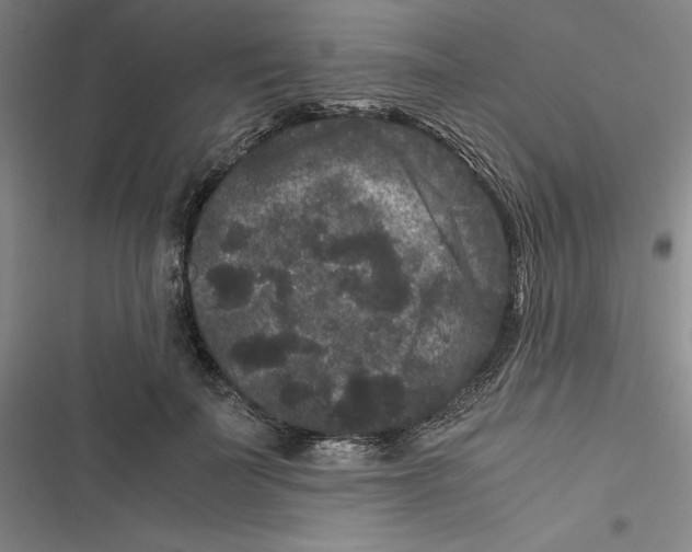 X0000116780699201001141512