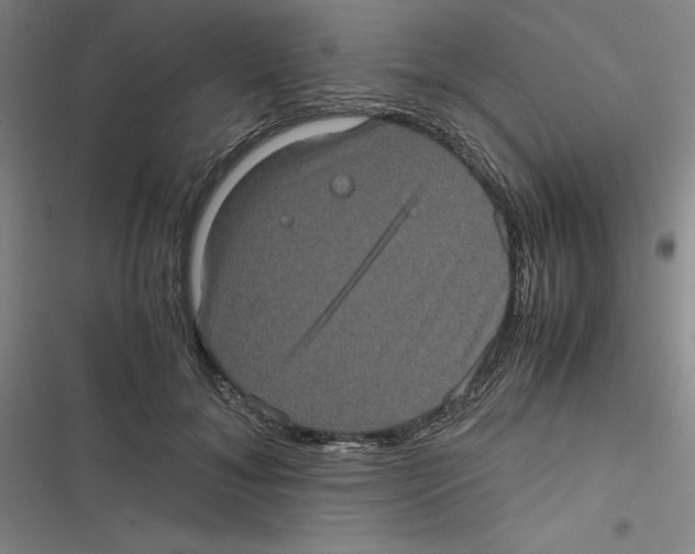 X0000116780700201001141512