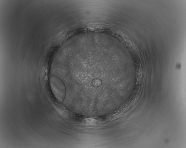 X0000116780703201001141512