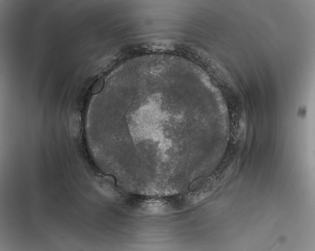 X0000116780704201001141512