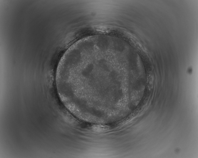 X0000116780707201001141512