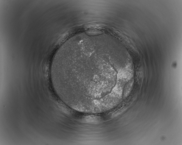 X0000116780708201001141512