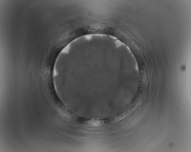 X0000116780711201001141512