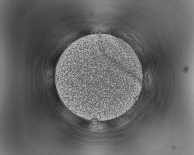 X0000116780714201001141511