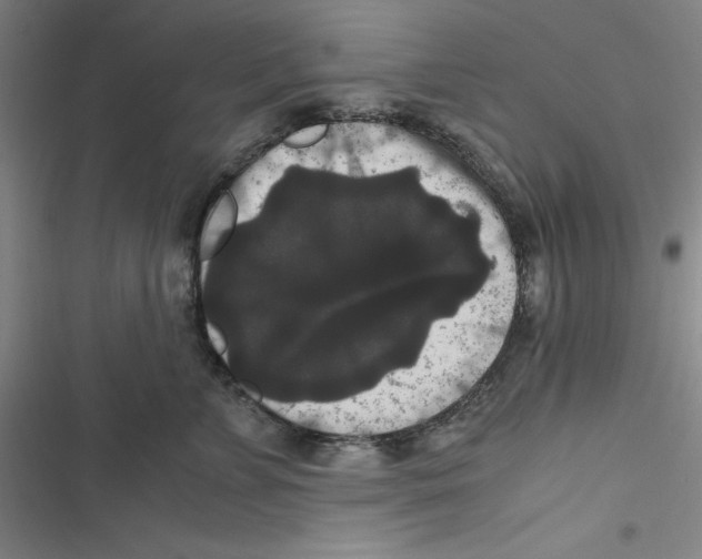 X0000116780715201001141511