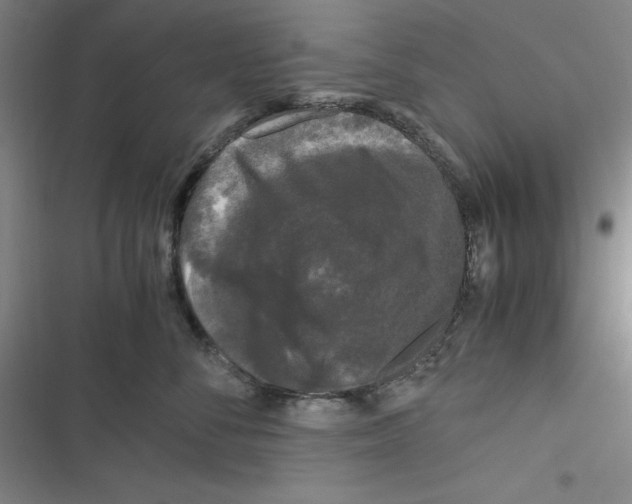 X0000116780716201001141511