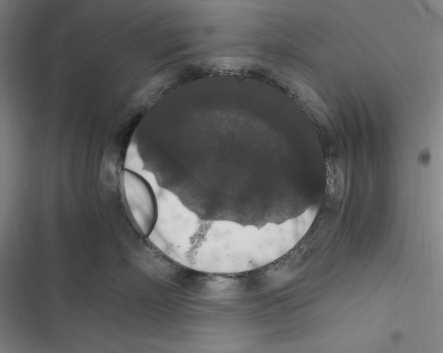 X0000116780718201001141511