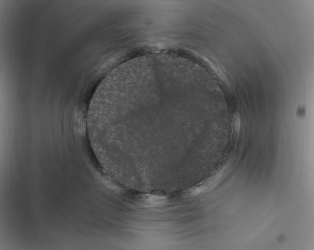 X0000116780719201001141511