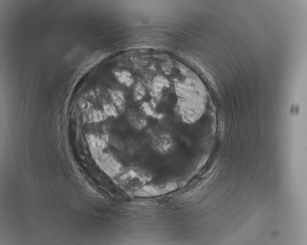 X0000116780721201001141511