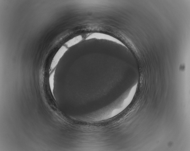 X0000116780722201001141511