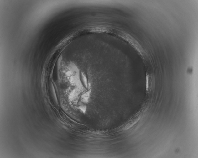 X0000116780723201001141511