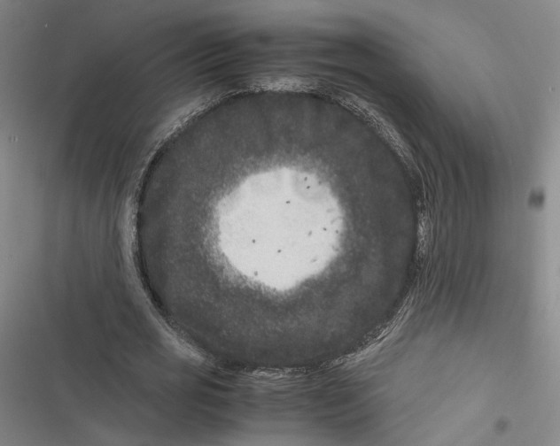 X0000116780725201001141511